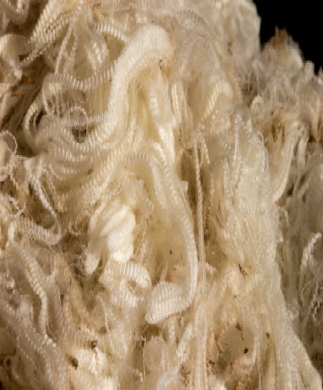 Module 4: The chemistry of the wool fibre