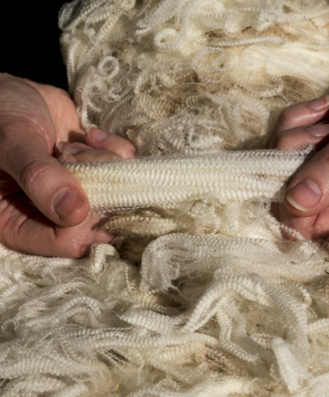 Module 6: Predicting top properties from raw wool