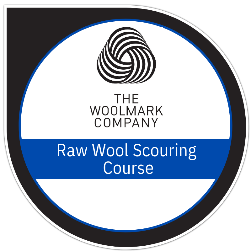 Raw wool scouring
